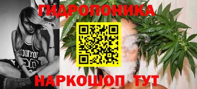 ПСИЛОЦИБИНОВЫЕ ГРИБЫ Северобайкальск