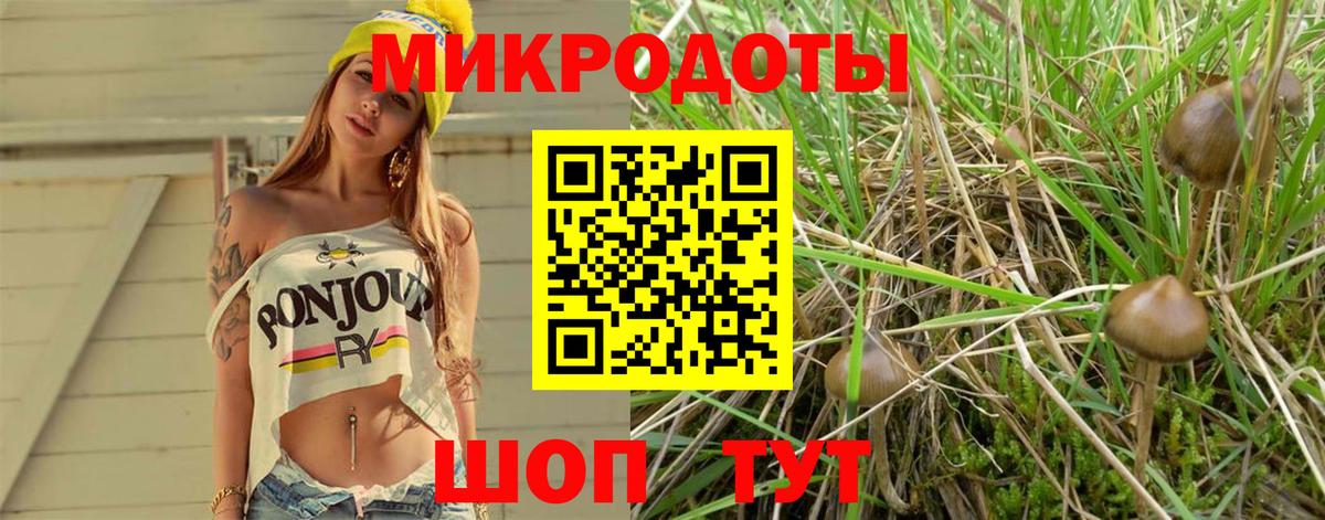 Отрадное  Псилоцибиновые грибы Cubensis  Вход с VPN 